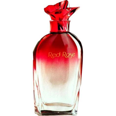 chiara ambra parfum